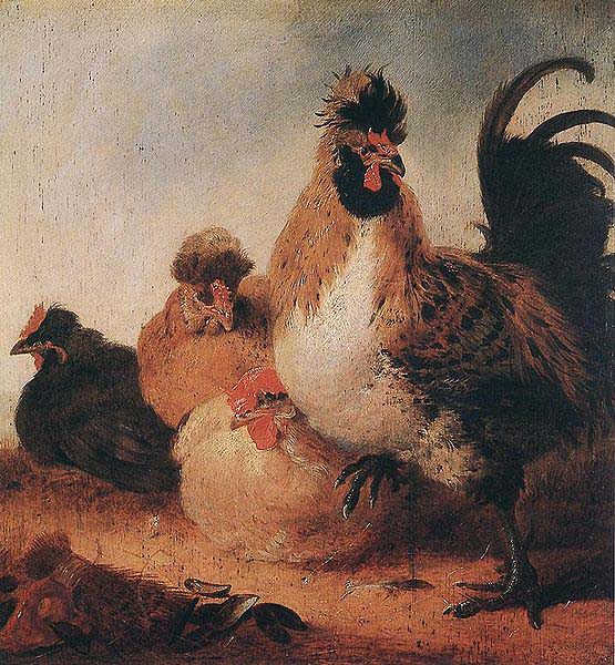 Rooster and Hens.